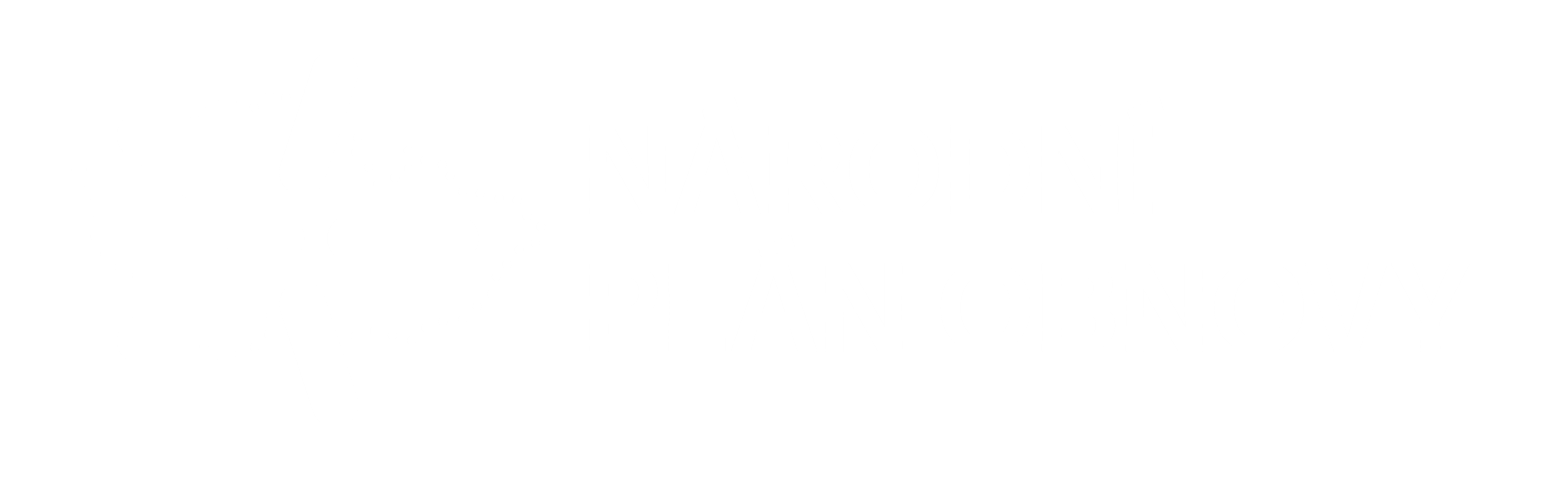 Národní plán obnovy